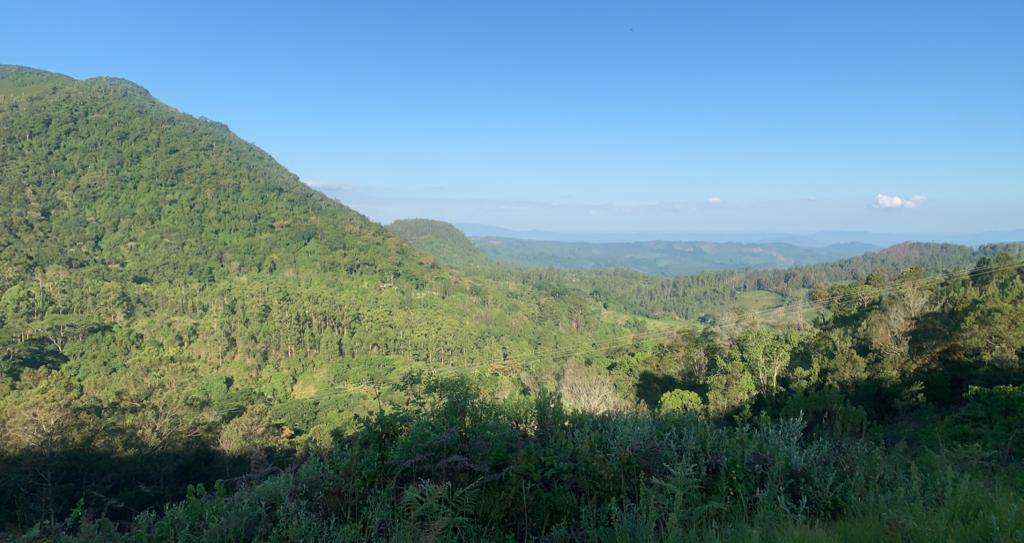 Views in Vumba ❤️

#LocalTravel🇿🇼