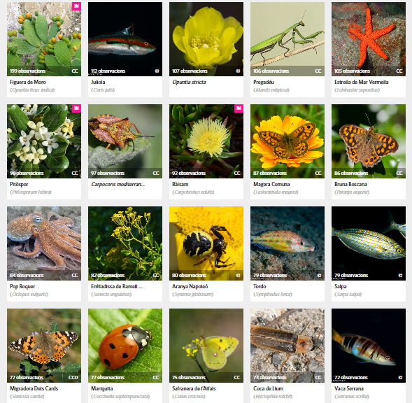 EmpordaiNat tweet media