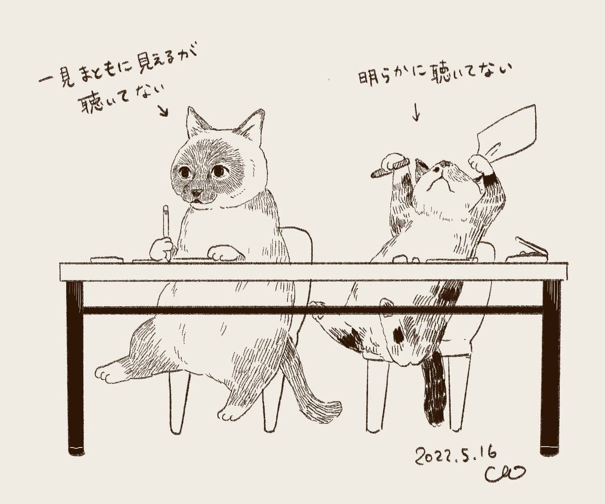 #2022年自分が選ぶ今年の4枚
最後のは「猫ちゃんずをそろそろ塾に行かせたら?」とオットに言われたので多分こうなるよと説明するためのアレ。
皆様今年も一年ありがとうございました。素敵で喜びの多い新年を! 