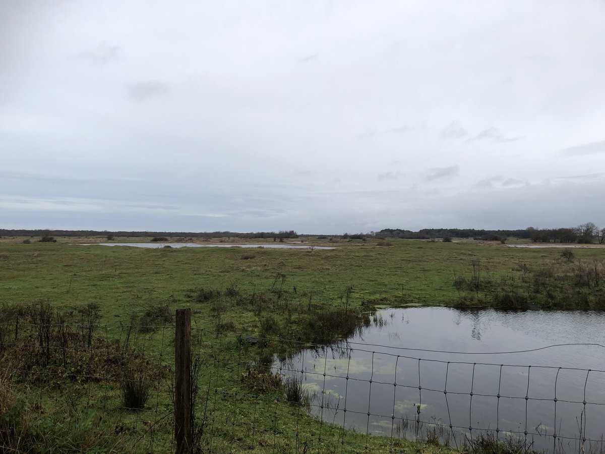 PNMastenbroek's tweet photo. December 31 walk 317 in 2022 β
last one of the year. Blessed 2023 everybody.
From Jan 1 only in Strava https://t.co/TjQSQimjr3 and @PNMastenbroek@mastodon.nl
#300crew #200crew #100crew #100DaysOfWalking https://t.co/8mR2pg7udV