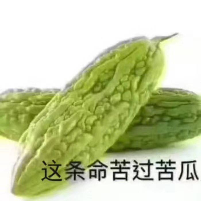 @scpaylb 你好可怜😰现实过的很不如意吗？靠网上喷粪获得快乐🥴 https://t.co/0uPsau8h2K