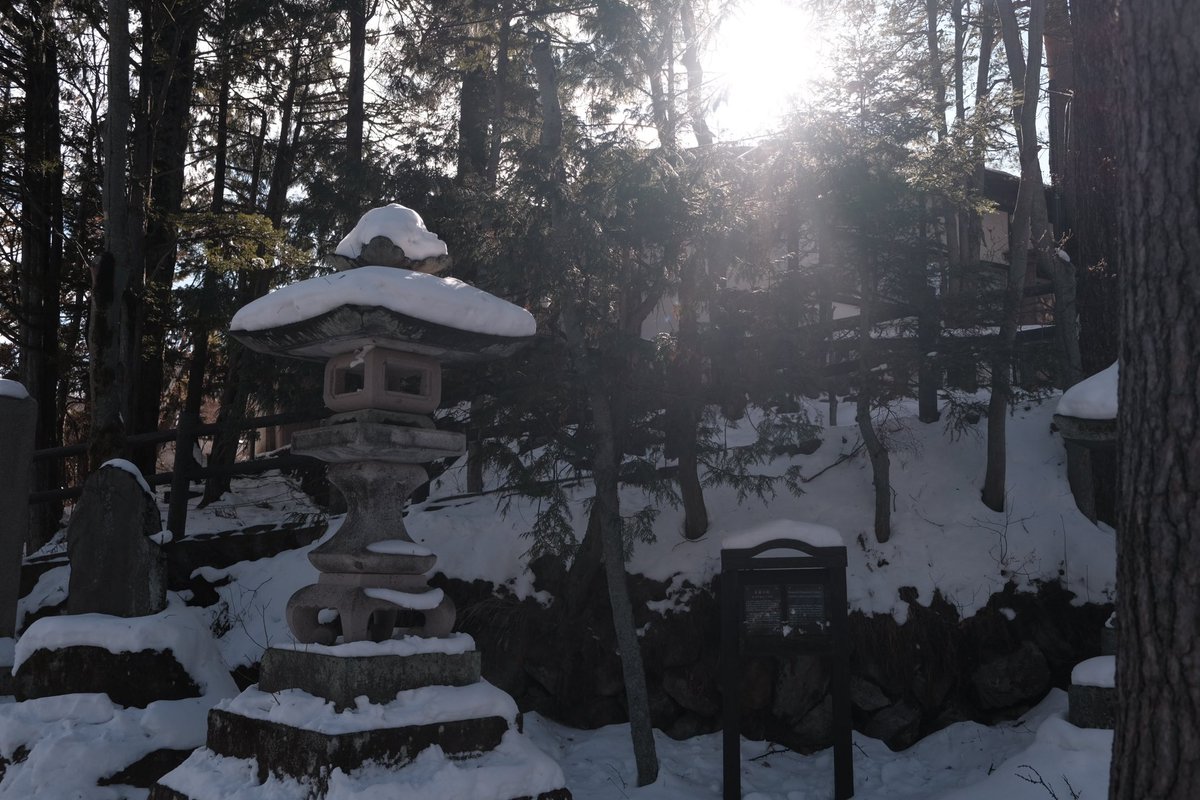 samosam0_'s tweet photo. 藤井との二人展、3年ぶりの芸祭での展示など慌ただしく過ぎた一年でした。
来年の行き先も一応決まったので引き続き頑張ります。 https://t.co/0kOuecCiDw