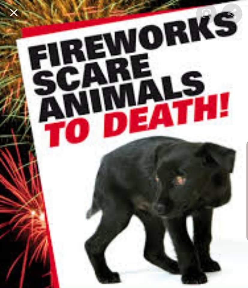 Missing Pets GB tweet media
