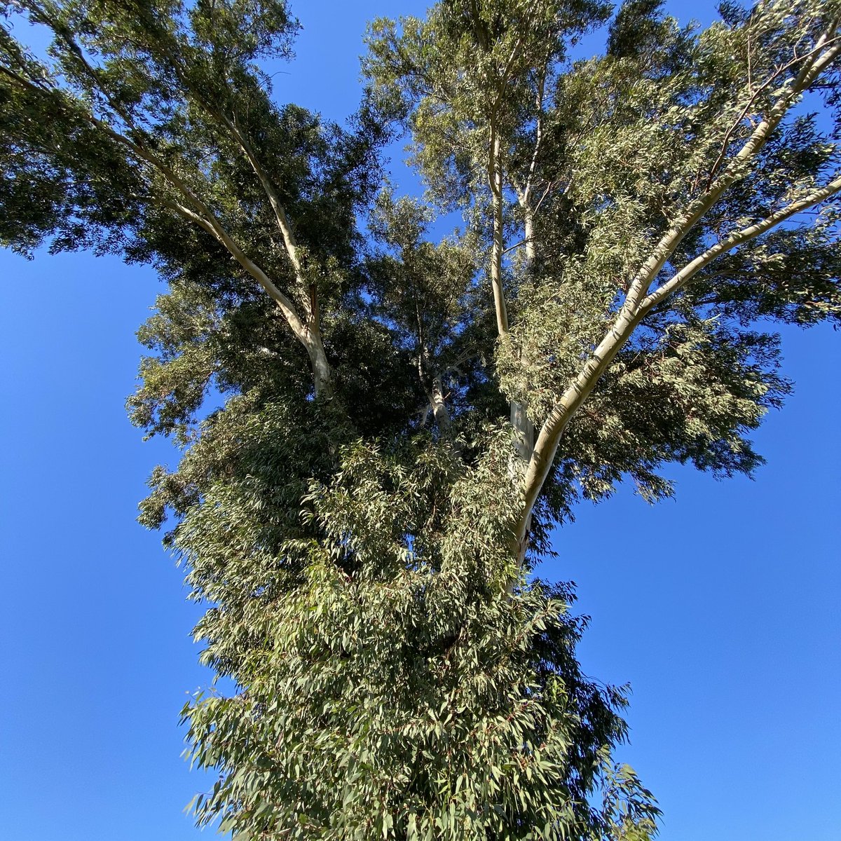 KeremAk69's tweet photo. Ride 27.12.22
#Tree #oldtree #NaturePhotography #photography #fotografia #bikeride #roadcycle #cycling #cyclinglife #bicicleta #Ciclismo #bicycle #mountains #Hunter #camping #fishing #outdoors https://t.co/TijdJtqEiT
