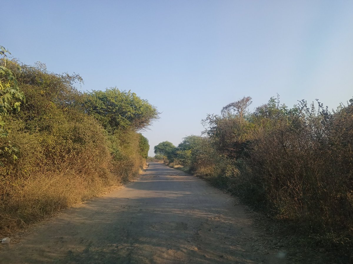 kardile24's tweet photo. @nitin_gadkari तद्नंतर आजतागायत कोणत्याही प्रकारची डागडुजी किंवा सुधारणा करण्यात आलेली नाही , आपण आपल्या कार्यालयातून सदर बाबींची चौकशी करूनच आमच्या मागणीचा विचार करावा ही विनंती. https://t.co/DMYoTpQCRP