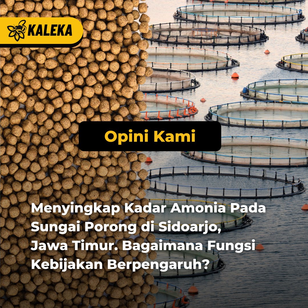 kalekaindonesia's tweet photo. ⚖️ Apakah kebijakan yang mengacu pada izin, larangan, dan penetapan standar saja masih cukup untuk menyingkapi polusi air sungai yang berlebih? 🌊

#Kaleka #RealizingSustainability #TransitiontoExcellence #Amonia #Akuakultur https://t.co/qHlPUI7wro
