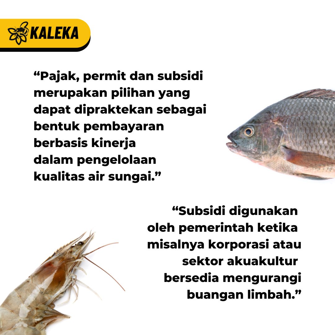 kalekaindonesia's tweet photo. ⚖️ Apakah kebijakan yang mengacu pada izin, larangan, dan penetapan standar saja masih cukup untuk menyingkapi polusi air sungai yang berlebih? 🌊

#Kaleka #RealizingSustainability #TransitiontoExcellence #Amonia #Akuakultur https://t.co/qHlPUI7wro