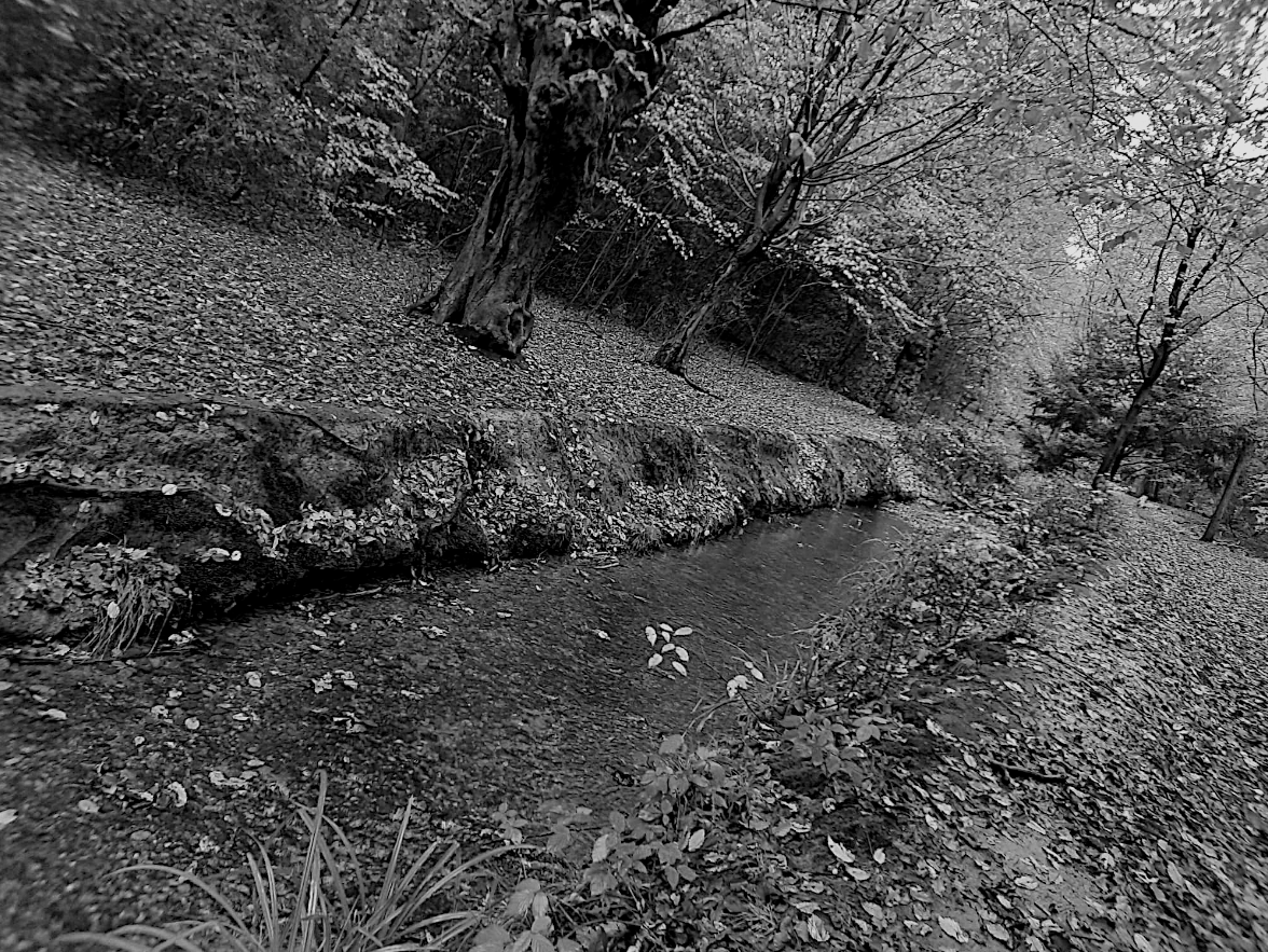 HooklandGuide's tweet photo. Every river, every stream has its spirit. Some sing, giggle as they rush across pebbles, make game of dragging sticks towards the end of their territory. Some brood, remembering disrespects, unpaid tithes.  Others are merely hungry. These are the most dangerous of all. – #CLNolan https://t.co/eySGgsv07F