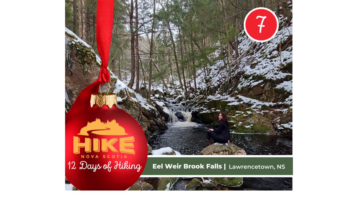 HikeNS's tweet photo. #12DaysOfHiking
Day 7 - Eel Weir Brook Falls, Lawrencetown, NS
This path to a swimming hole, popular in the summer, would have been impossible to follow in the winter if it was not for footprints from locals in the snow that pointed the way.
#WinterHiking #HikeNS #TryNewTrails https://t.co/FpY5IOAnaE
