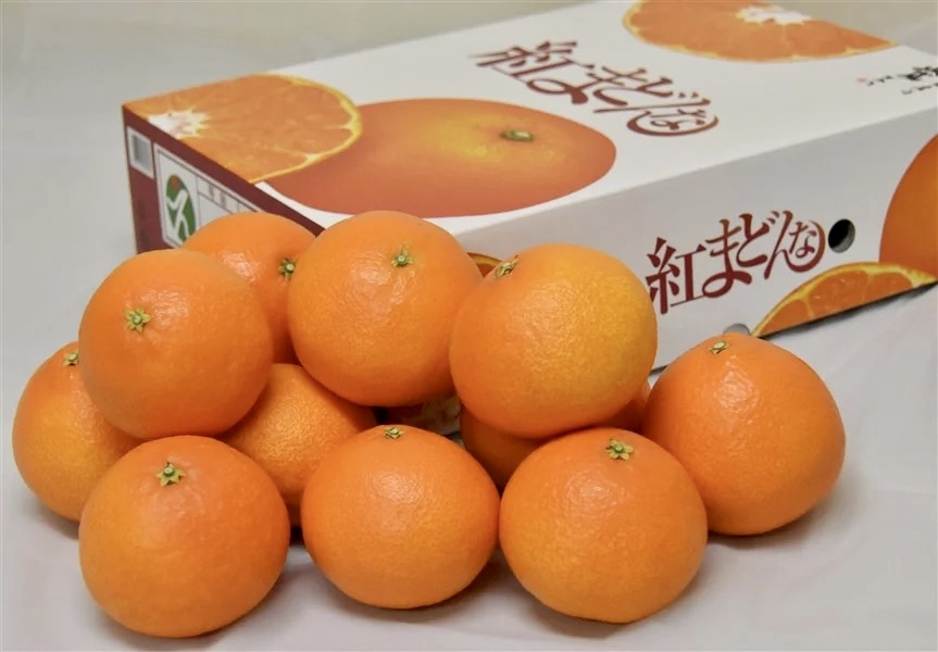 愛媛県の「紅まどんな」をご紹介🍊
👉 ja-town.com/shop/a/a221231…

愛媛のブランド柑橘「紅まどんな」🍊甘い果汁と豊かな香りがあり、とろける美味しさで大人気の柑橘です♪愛媛県のJAえひめ中央から産地直送でお届けします🚛💨

#JAタウン #産地直送 #通販サイト