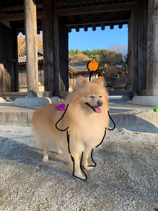 みなさまよいお年を! 