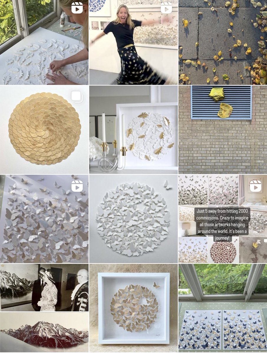 Cissy Cook tweet media