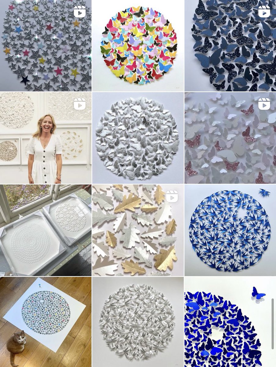 Cissy Cook tweet media