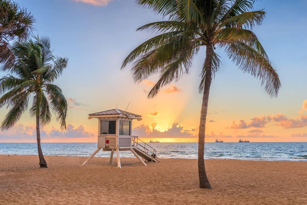 FloridaFirstTC's tweet image. Take a trip in 2023 to Fort Lauderdale in the heart of Florida's Gold Coast.
buff.ly/3Ccg6PT 

#lovefl #florida #sunshine #2023holiday