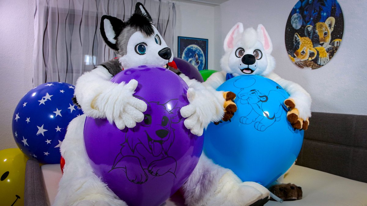 Last #squeakysaturday this year together with <a href="/Bolt_Cadell/">Boltee</a> enjoying blowing up some🎈😊

🎥Video-Link:
youtu.be/p9QqHiCn2Mc

#Balloons #balloon  #fursuit #furry