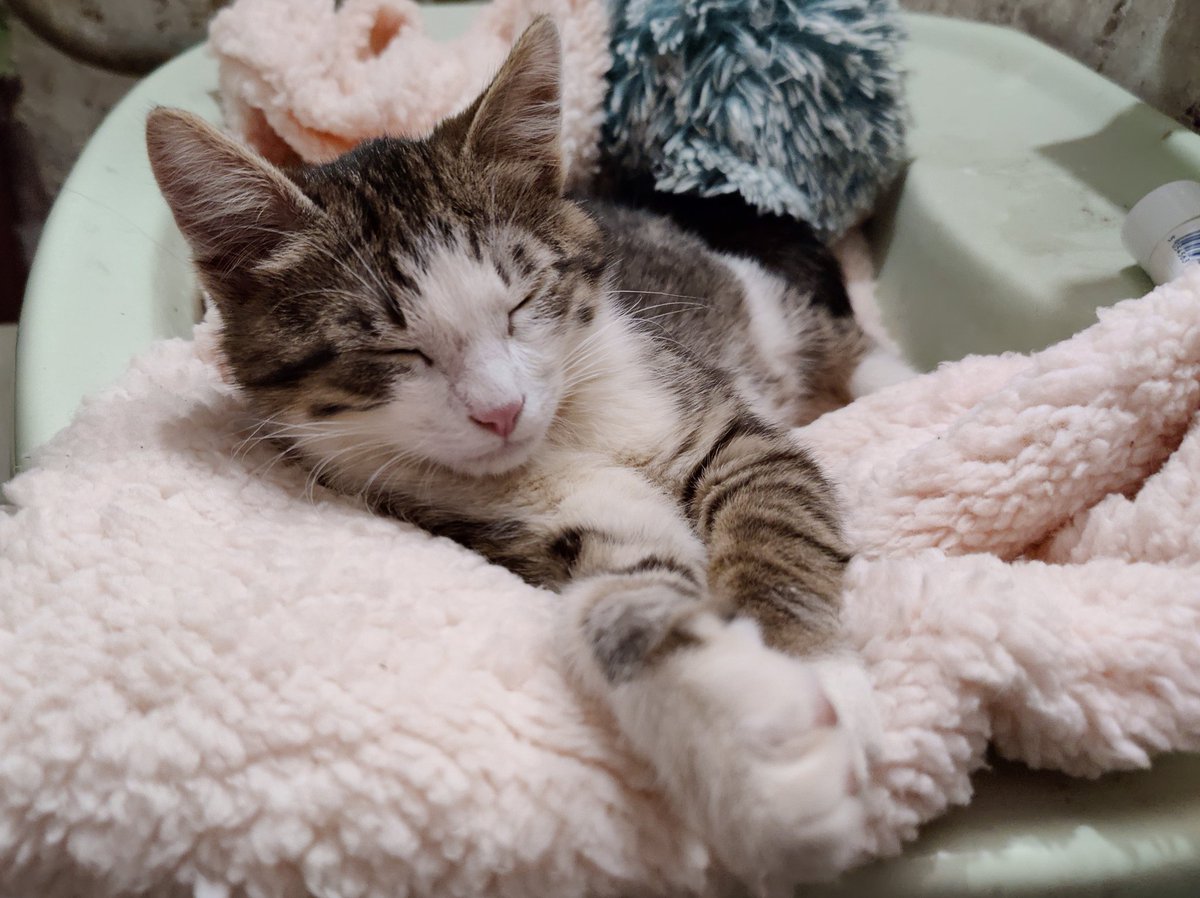 Tory Jam 🇺🇦🕊️ tweet media