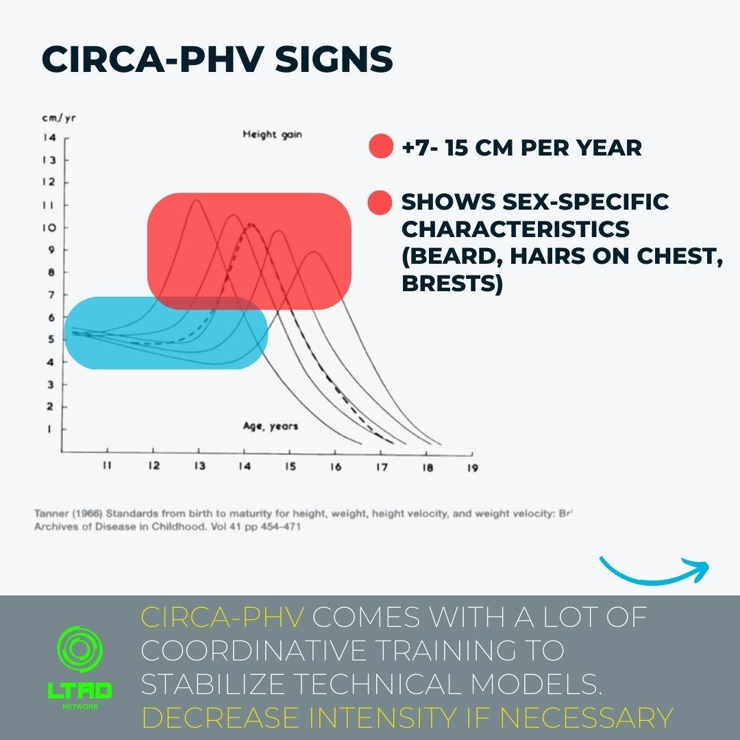 EINS-A Coaching tweet media