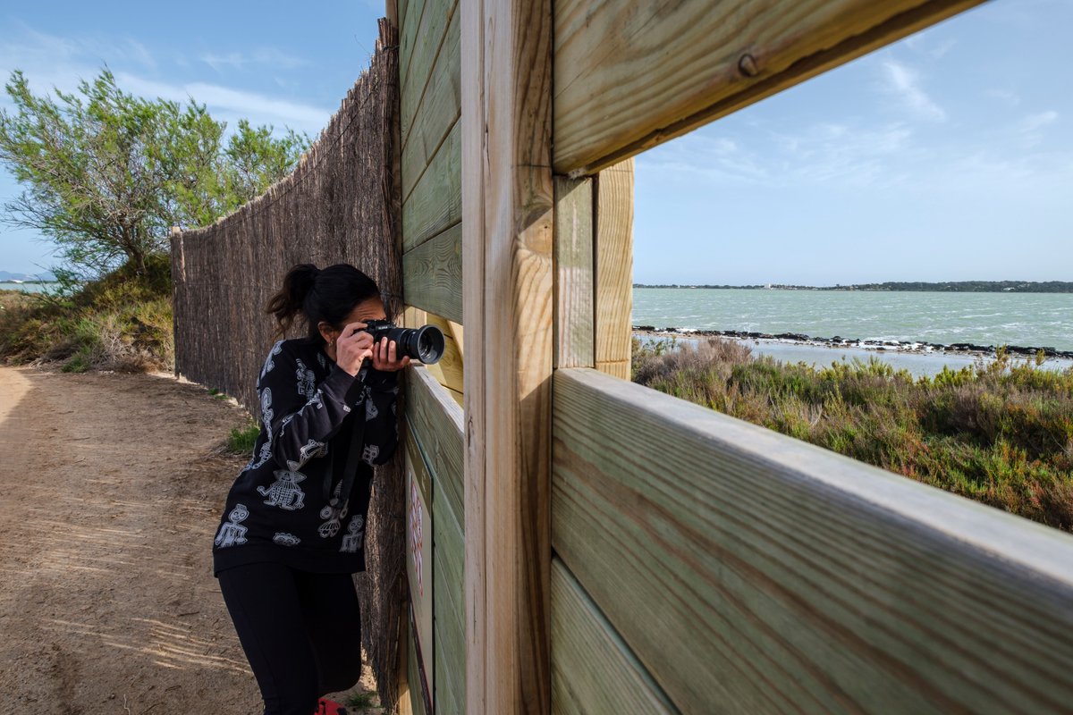 🥰 Si eres un amante de la naturaleza y en especial de las aves, no puedes dejar de hacer una visita a s’Estany Pudent en #Formentera,🐦 uno de los lugares más emblemáticos de la isla, 
📸 ideal para la práctica del "birdwatching".