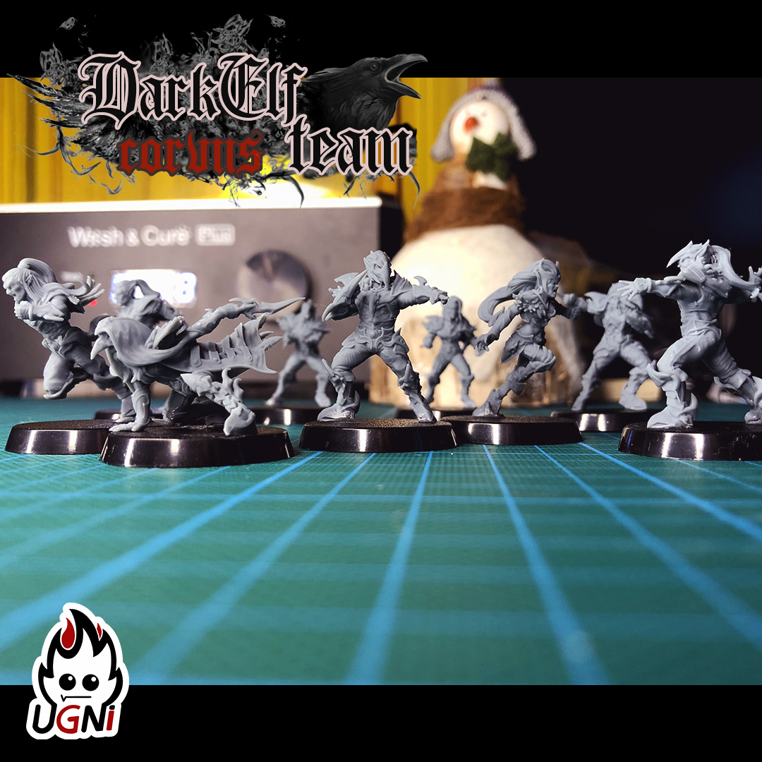 UGNI_Miniatures's tweet photo. Printed Dark Elves Team

#bloodbowl #gamesworkshop #warhammer #3dprint #tabletop https://t.co/xHsytn54ZZ