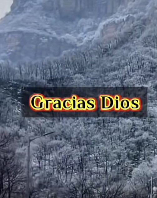Chompirom1's tweet photo. Por el año que dejamos atrás 
Por lo aprendido
Por la@oportunidad de seguir.  
Bienvenido 2023 https://t.co/Z62z7rgo2H
