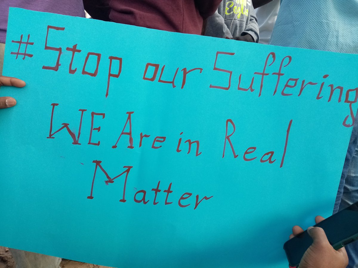 HassanZakaria tweet media