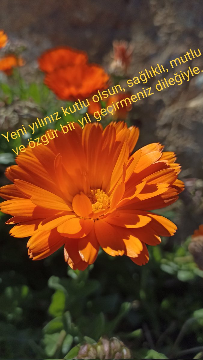 Abdurrahman Genç (@dragenc) on Twitter photo 