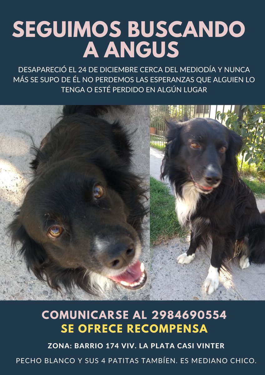 v tweet media