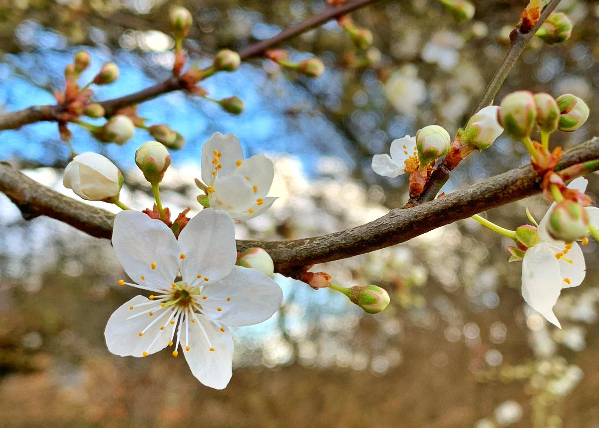 suemarshcoaching tweet media