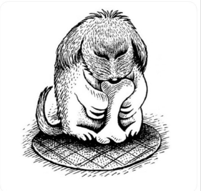 ThomasAficain's tweet photo. @ReynaldoKev Voilà ce que je voit sur https://t.co/Cz3hnqkffR