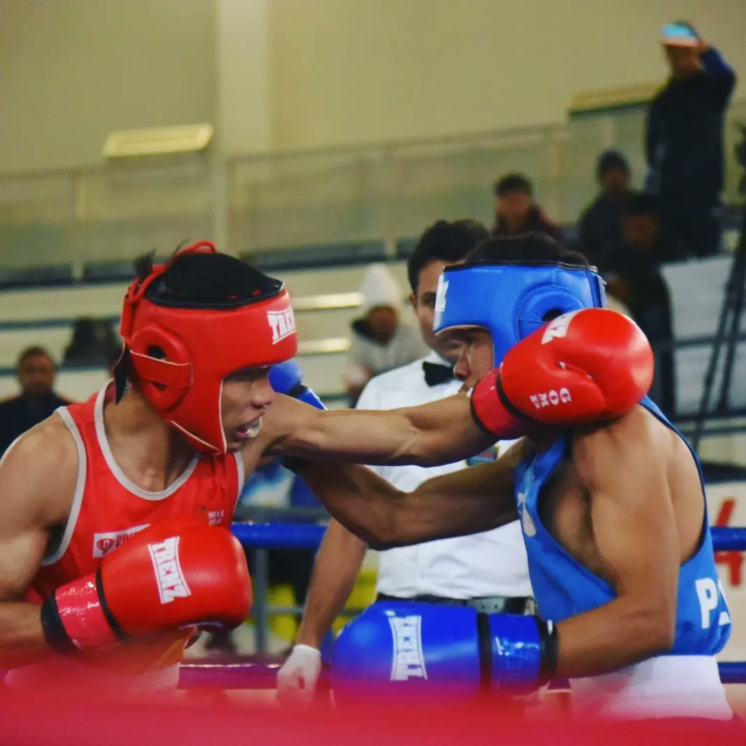 HaryanaBoxing's tweet photo. Day 1: 6th Elite Men National Boxing Championship 2022 at CCS HAU Hisar, Haryana
#boxing #National #nationalchampionship #haryanaboxing #india #indiaboxing #boxingpunch #haryana #hisar #ccshauhisar https://t.co/cainJj2Uju