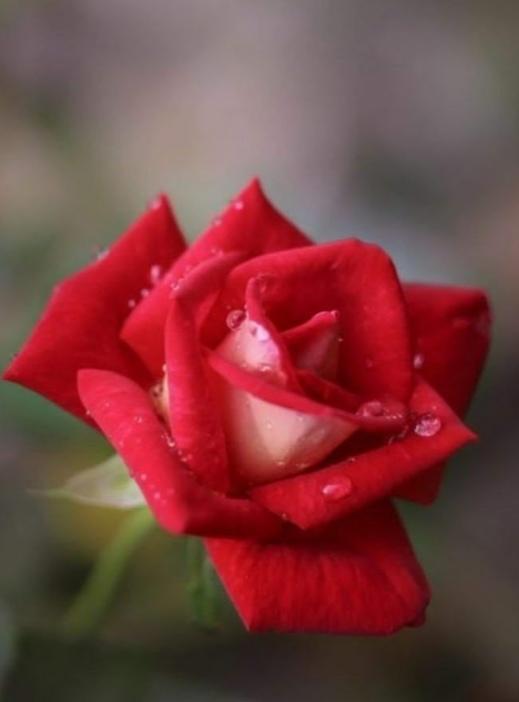 ovalye58938199's tweet photo. #MUTLU
#YILLAR
☕🌼🎈🎈🎈🎈🎈🎈 https://t.co/h12a2pHZ0e