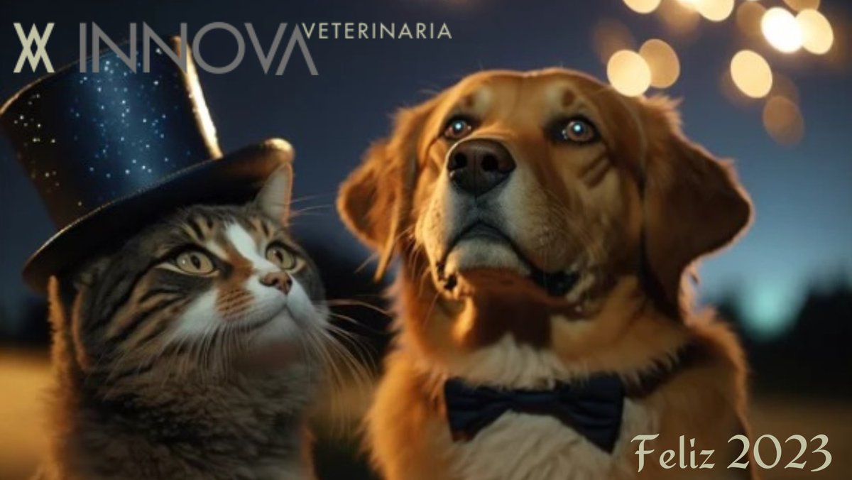 InnovaVet's tweet photo. Cuando un año está por terminar,
solemos hacer un balance de lo vivido. ⚖️

Desde Innova veterinaria queremos poner en valor el
vínculo que se va creando y decantando con el tiempo
entre nosotras y vosotros... cuidadores, responsables,
tutores y amantes todos de los animales. 🥰 https://t.co/2xD20W42Rf