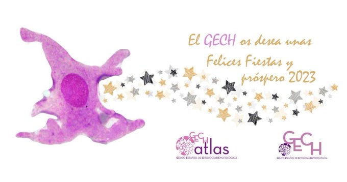 El Grupo Español de Citologia Hematológica les desea Felices Fiestas y un próspero año nuevo! 