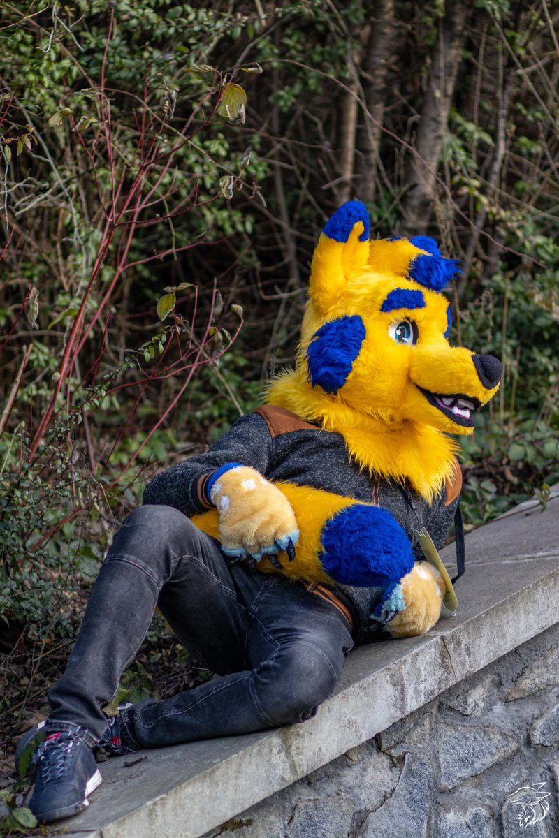 Just chilling and looking forward to next year, thank you so much for this year! I hope we will se each other next year on some furry convention :3 

I wish you a wonderful new year 2023

#furry #furry2023 #furryfandom #fursuiting