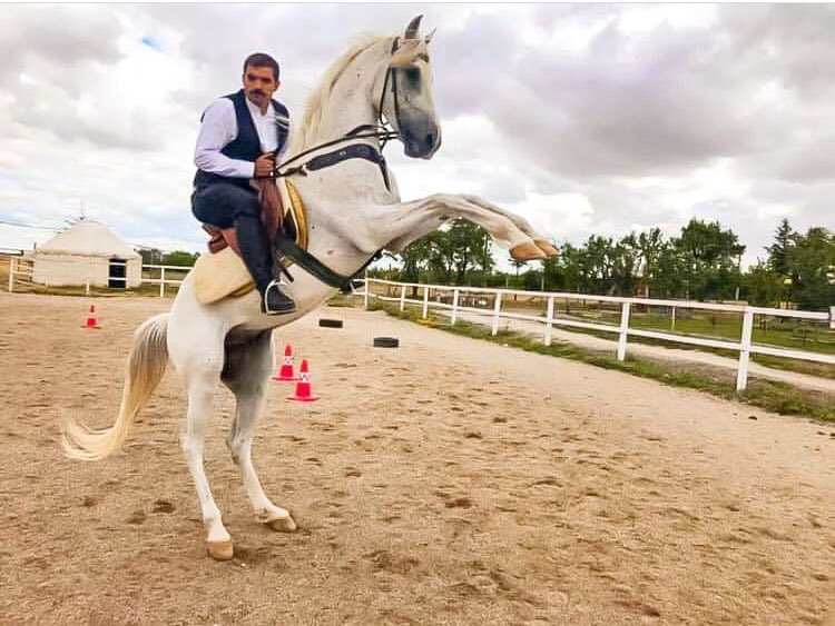 MYesilel's tweet photo. Namus lekesi değil alnımda gördüğünüz,
Vurulmuşum, vurulmuş düşmüşüm güpe gündüz.

Şakağımdaki kansa, o benim gülüşümdür,
Namert sürünmektense, erkekçe ölüşümdür...

Mekanın cennet olsun güzel insan..

 #SinanAteş https://t.co/zzthy4IY6a