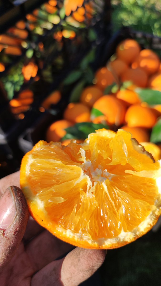 مَحــــــدی tweet media