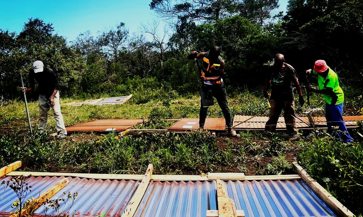 We are willing to help you in construction!