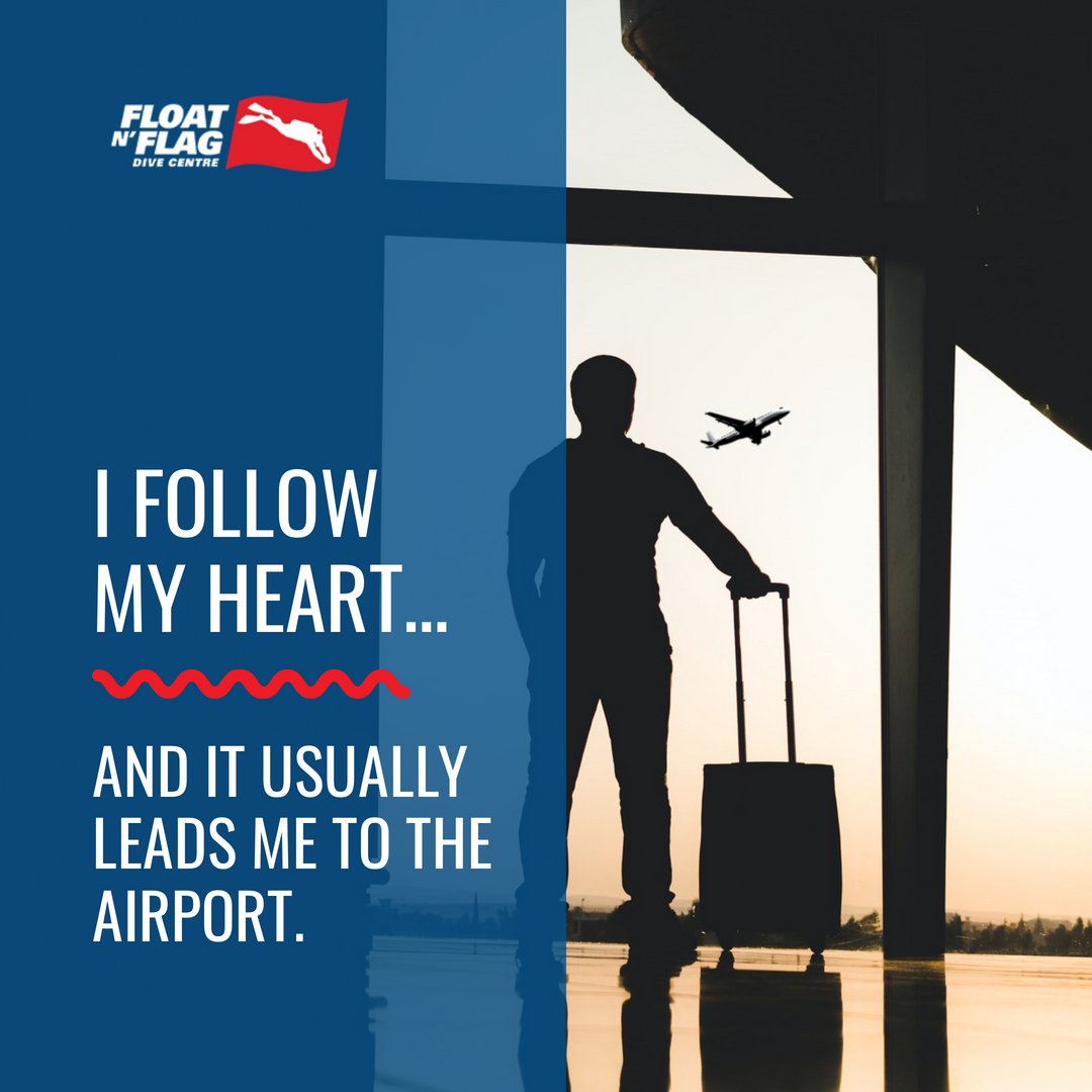 FloatnFlag's tweet image. Did you know, we book all types of vacations, not only scuba diving ones? You want to lie on the beach all day long or discover a new city? We can plan that for you. Our travel team can organize both under water and above water excursions.

floatnflagtravel.com