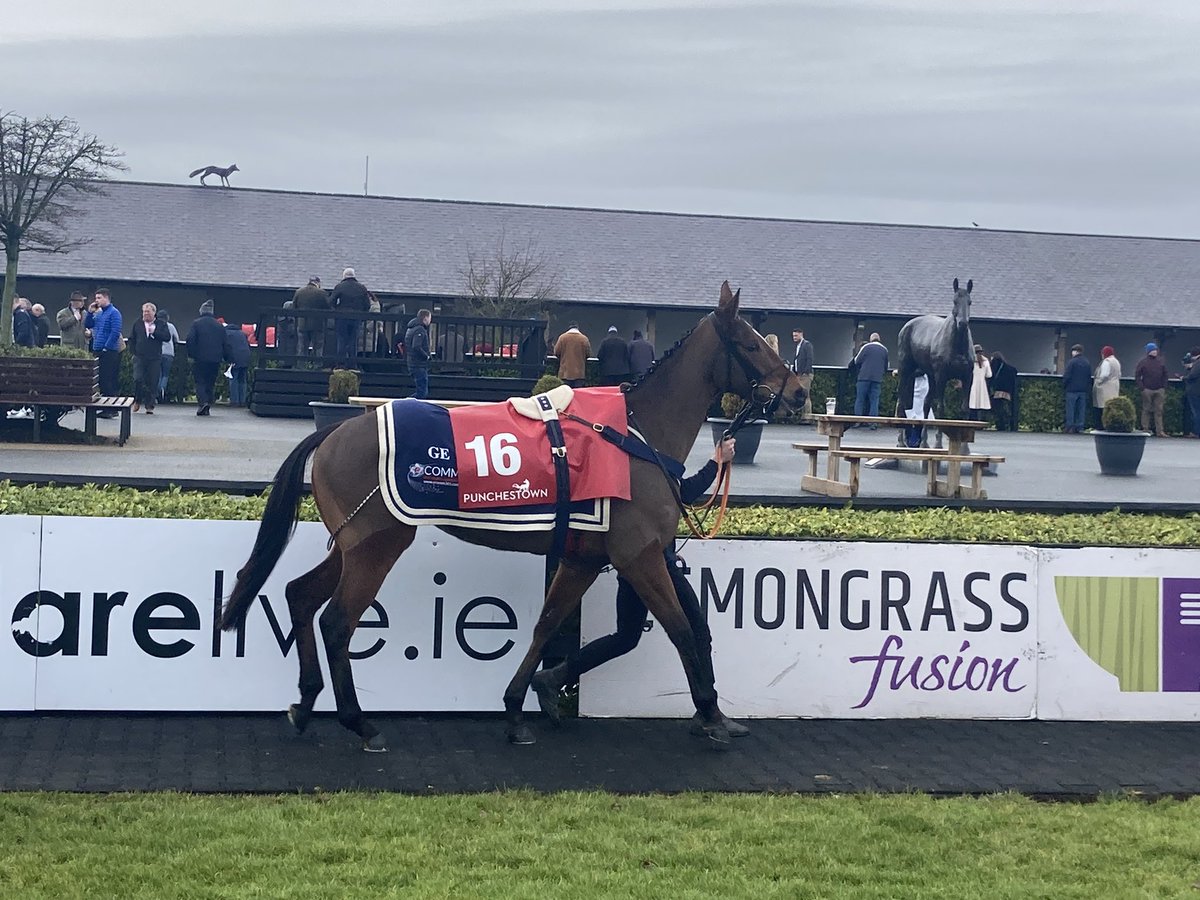 GoldmanRacing's tweet photo. A great day out for the syndicate.. Calico ran another great race and thank you yet again Sam Ewing for steering her home.. roll on 2023 🐎👏🏻💪🏻🐎👏🏻 https://t.co/7TDncHwPUC