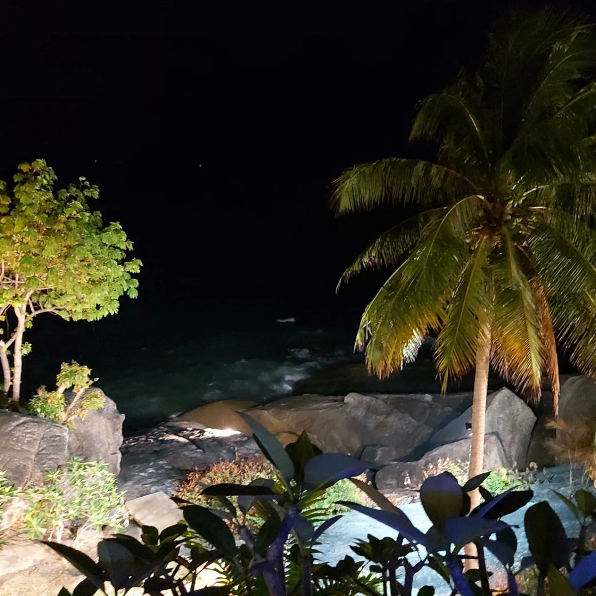 Jo Jackson tweet media