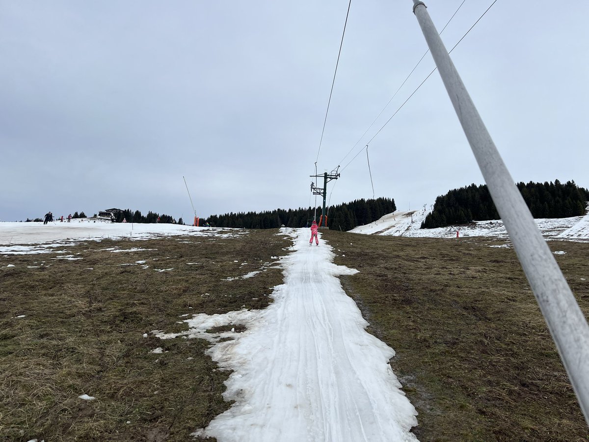 Johanna Moss tweet media