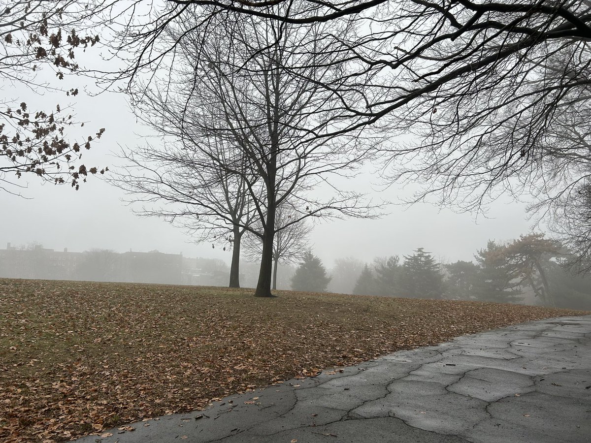 Foggy New Year’s Eve walking through owl’s head park after dropping off our tree to be mulched #bayridge #Brooklyn