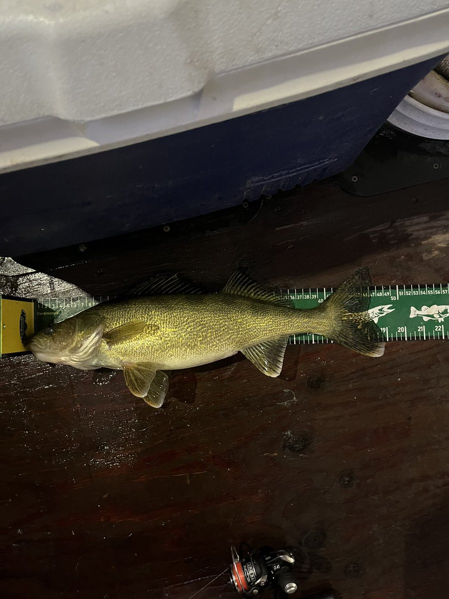 Crushen’ Walleye at LOTP like it’s my god damn job!