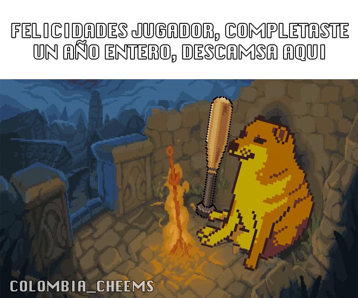 ColombiaCheems's tweet photo. ❤️ https://t.co/x4GfTgYceK