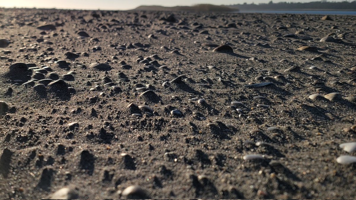 J.P. Walsh (@jp_walsh) on Twitter photo Mars or Moonstone Beach? This photo of a Martian-like surface was taken right here on Earth -- in RI. This gravel-rich wind-blown overwash plain expanded northward as a result of overwash during the last major storm #Elliott. #FieldworkFriday #nofilter <a href="/URIGSO/">URI Graduate School of Oceanography</a> <a href="/weatherchannel/">The Weather Channel</a> Mars or Moonstone Beach? This photo of a Martian-like surface was taken right here on Earth -- in RI. This gravel-rich wind-blown overwash plain expanded northward as a result of overwash during the last major storm #Elliott. #FieldworkFriday #nofilter <a href="/URIGSO/">URI Graduate School of Oceanography</a> <a href="/weatherchannel/">The Weather Channel</a>