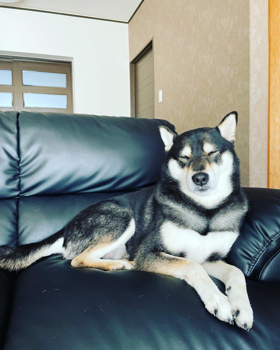 28Kodama's tweet image. 2022年ありがとうございました！
2023年も宜しくお願いします！
色んなことにチャレンジ🔥

step by step 
やったろ

#香川ファイブアローズ
#ONEUNION
#stayhungry