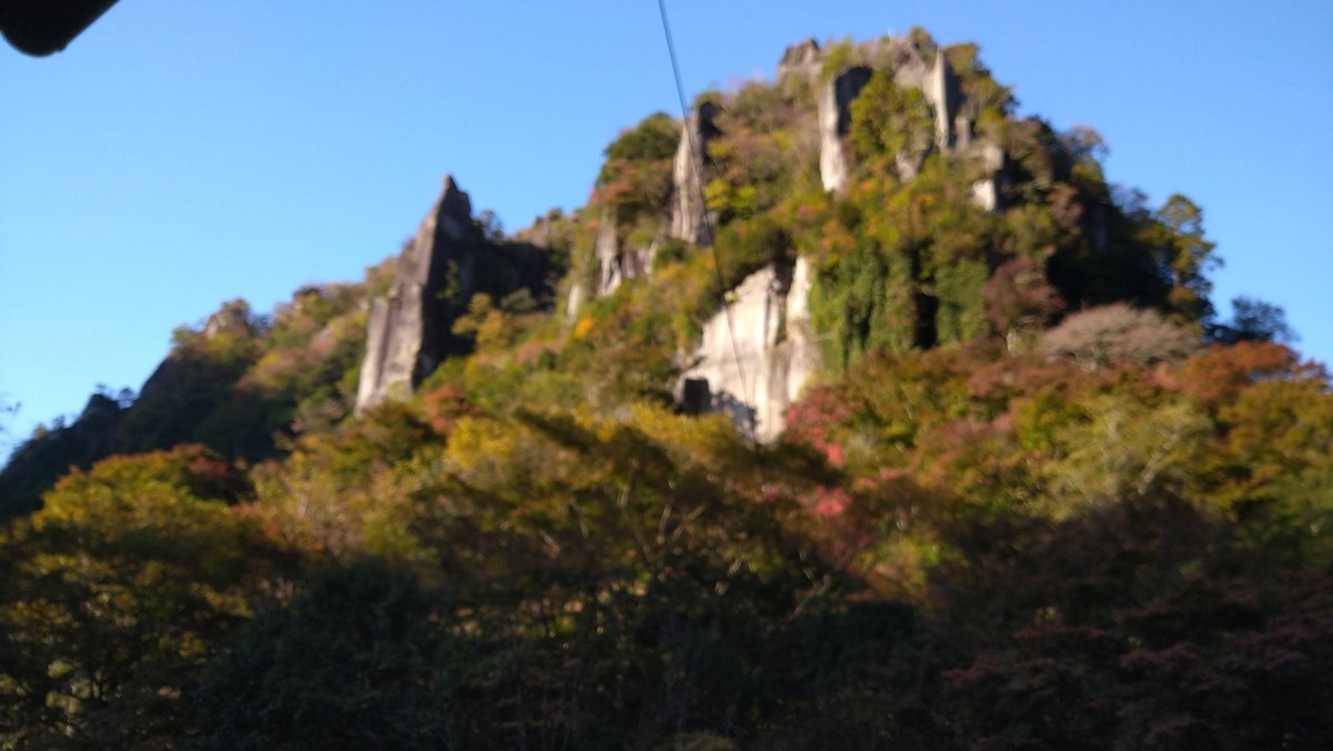 フォロワーの皆様、ありがとうございました。
来年もよろしくお願いします。
良いお年をお迎えください