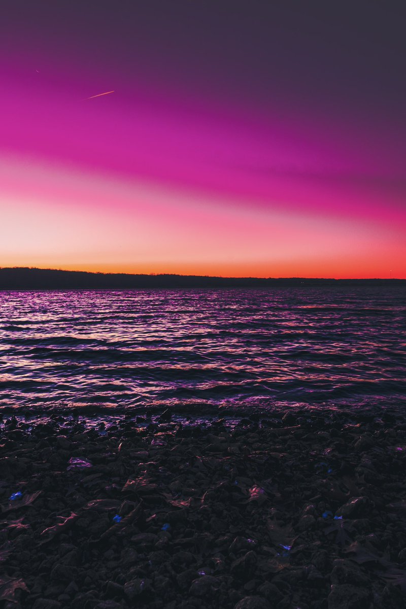 Iman 🇲🇦 tweet media