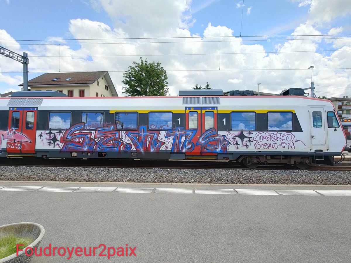 CigfUhf's tweet photo. Train*Suisse*2022
#graffiti #graff #swiss #graffswiss #switzerland #Palezieux #suisse #art https://t.co/82eVp96uWH