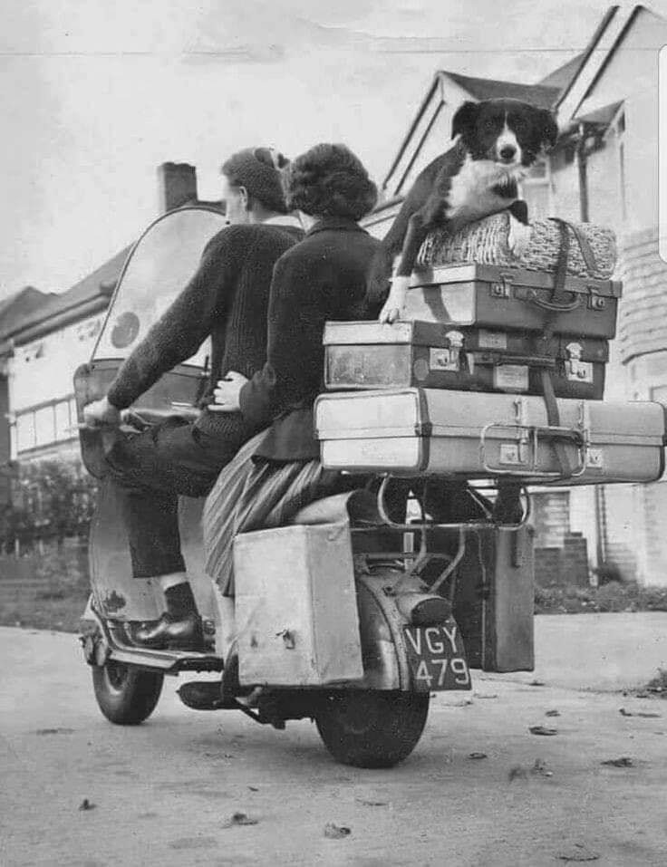 literlandweb1's tweet image. "Las palabras del año pasado pertenecen al lenguaje del año pasado. Las palabras del próximo año esperan otra voz".
T. S. Eliot